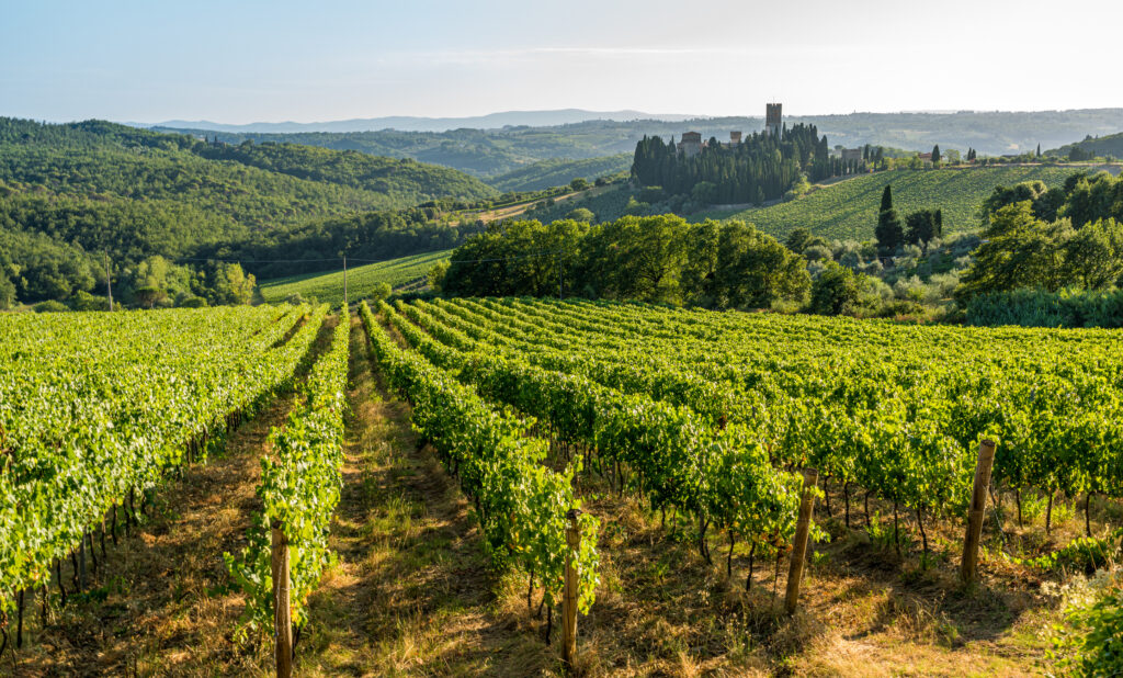 The beautiful Badia a Passignano monastery in the Chianti region. Province of Florence, Tuscany, Italy.
